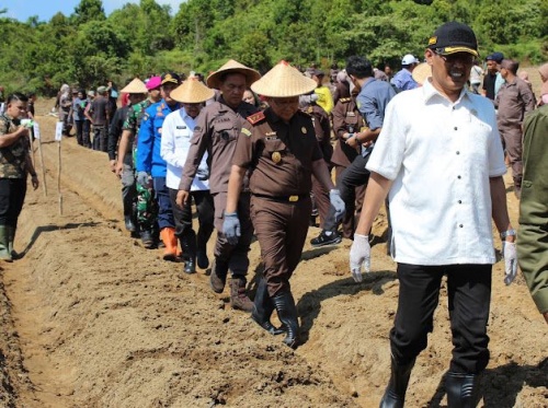 Dukung Program Asta Cita Presiden RI, Kejati Kepri dan Kejari Batam Tanam Jagung