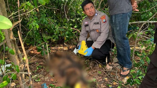 Penemuan Kerangka Manusia Hebohkan Warga Pesisir Haji Ungar Tanjungpinang