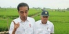 Tadinya 500.000 Ton, Perum Bulog Mengkonfirmasi Beras Untuk RI Hanya 346.000 Ton
