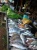 Harga Ikan dan Sayur Berangsur Turun di Tanjungpinang