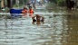 5 Bencana Banjir Paling Aneh Di Dunia