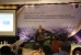Jalin Sinergi Investasi dan Pariwisata di Tanah Jawa, BP Batam Gelar Workshop OSS