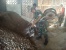 Kodim 0315/Bintan Melalui Koramil 04/Dabo Goro Bersama Warga Desa Batu Berdaun Bangun Surau Al Ikhla