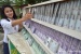 Ratusan warga padati Aula SP plaza untuk lakukan penukaran uang pecahan kecil.
