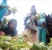 Hari Raya Idul Fitri, Berkah Bagi Pedagang Ketupat 