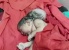 Heboh, Bayi Ini Lahir Dengan Tiga Kepala