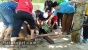 Sembilan Hewan Qurban kemenag Batam Selesai di Potong Sebelum Sholat Dzuhur