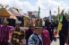 Memeriahkan HUT ke-74 RI, Pemko Batam Gelar Pawai Budaya Dan Pawai Pembangunan 