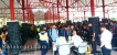 Pengangguran di Batam Menumpuk, Tapi Perusahaan Batam Masih Rekrut Dari Luar Kota 