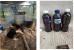 Praktek Pembukaan Lahan Tampa Bakar, Manggala Agni Daops Batam Uji Coba Produksi Cuka Kayu 
