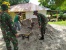 Bangun Rumah Pastori, Wujud Soliditas TNI Dengan Masyarakat Porto