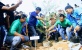 Walikota Batam Ajak Masyarakat Kota Batam Tanam Pohon Ketapang Kencana 