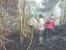 Polsek Dabo Singkep Polres Lingga Berhasil Padamkan Kebakaran Hutan dan Lahan