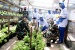 Lantamal IV dan Korcab IV DJA I Gelar Panen Raya Ketahanan Pangan Peduli Covid-19 