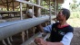 Qurban Jadi Pelipur Rindu Baitullah yang Tertunda