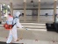 Cegah Covid-19, Polsek Batu Ampar Semprotkan Disinfektan di Masjid Baitul Makmur