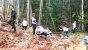 Lestarikan Hutan, IHGMA Kepri Tanam Bibit Pohon di Panbil Nature Reserve