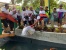 Batam Folding Bike - BP Batam 