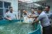 Dukung Program Ketahanan Pangan, LPKA Batam Tebar Benih Ikan Nila di Sanggar Kebun 