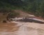 Buaya Berukuran 3 Meter Lepas dari Penangkaran Pulau Bulan