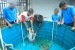 Ikan Nila Ajarkan Disiplin Anak Binaan LPKA Batam